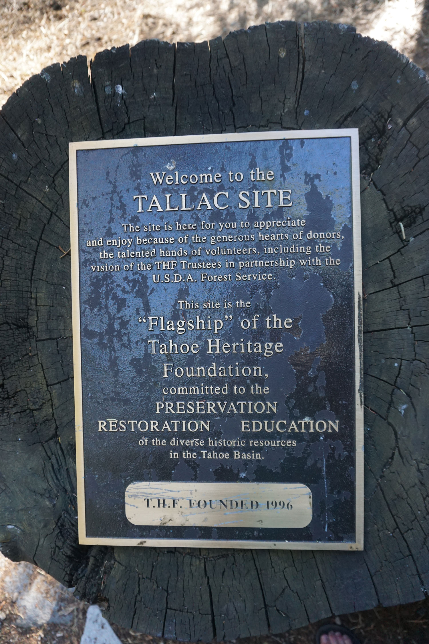 Welcome to Tallac Site