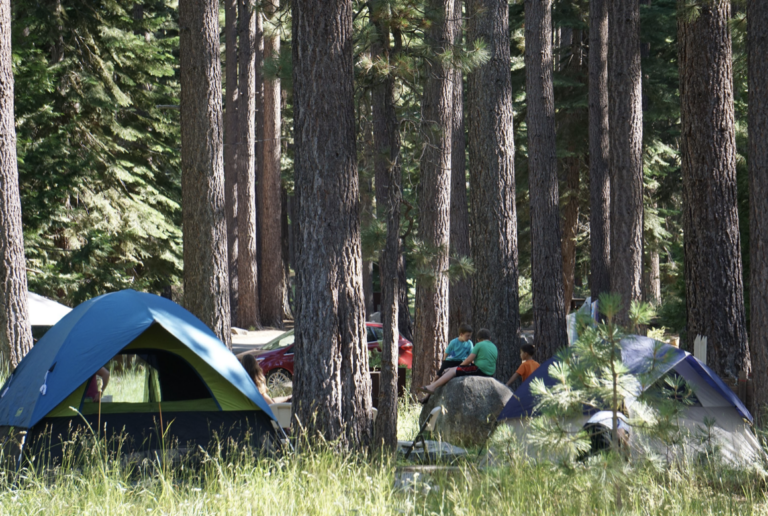 fallen leaf campground site map